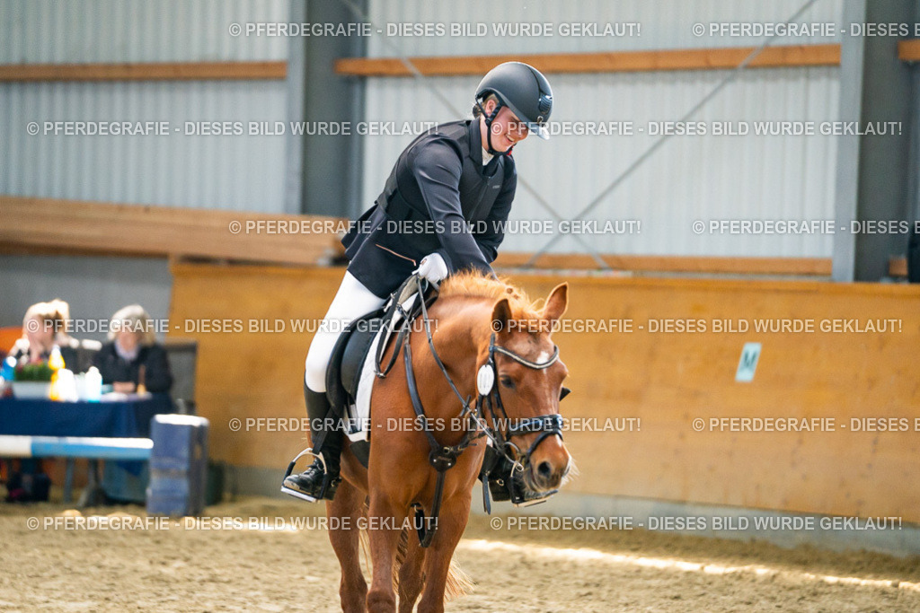 DSC01523 | Pferdegrafie