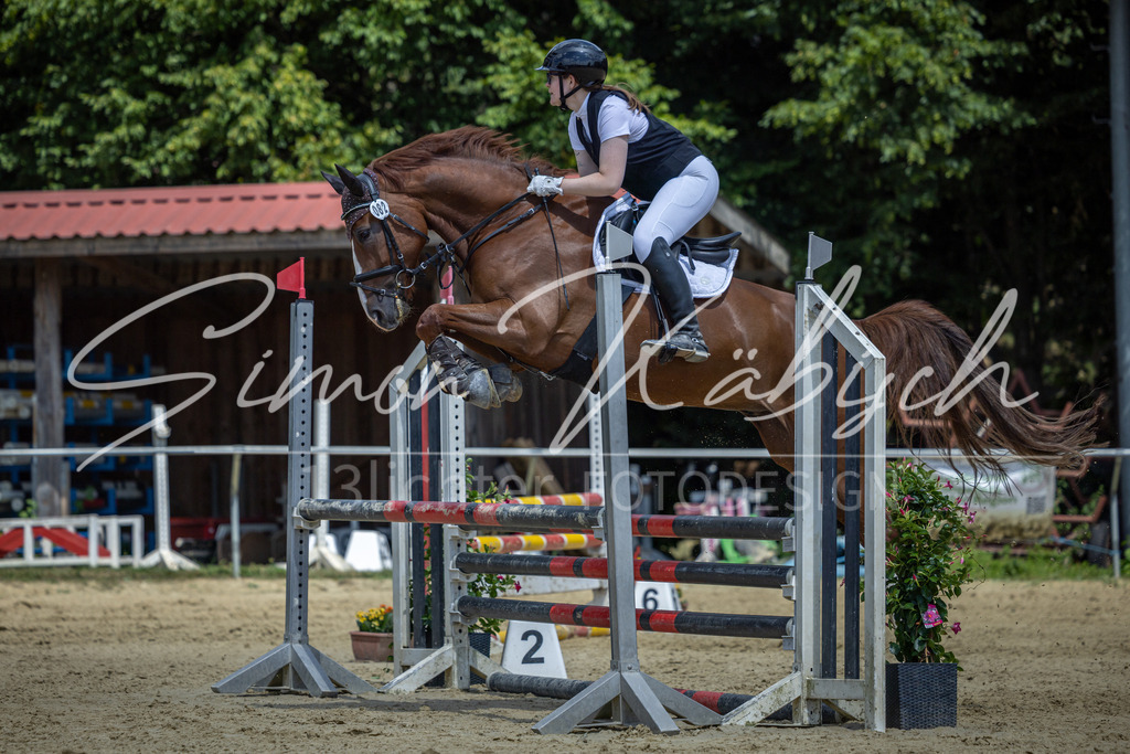 20260704-_3LI9619 | Tierfotografie Pferde, Hunde, Katzen, Haustiere.
Turnierfotografie Reitturniere, Reiten, Springreiten, Dressur in Hanau, dem Main-Kinzig-Kreis und dem Rhein-Main- Gebiet um Frankfurt