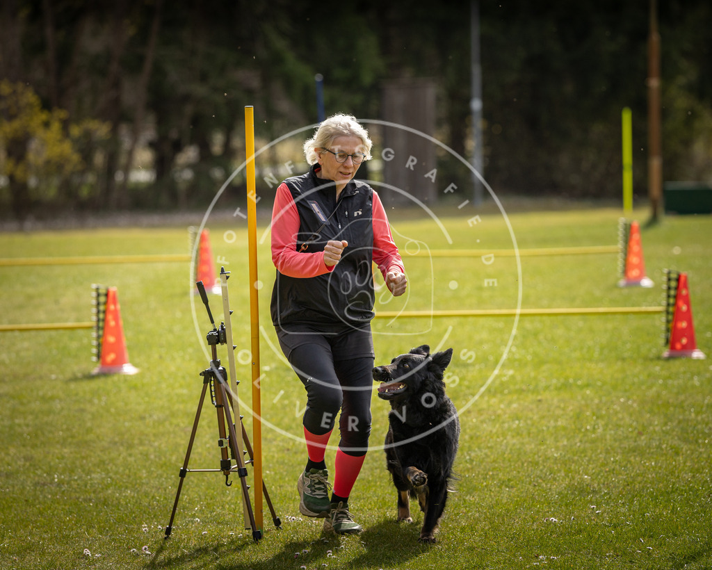 Pfotenfotografie_DV3A9163 | Hundefotografie, Tierfotograf, Pfotenfotografie, Fotoshooting Hund, Hunde Portrait, Hundesport, Hundeportraits, Heideshooting, Hunde, Sportfotograf, Hundefotograf, Turnierhundsport, THS,  - Realisiert mit Pictrs.com
