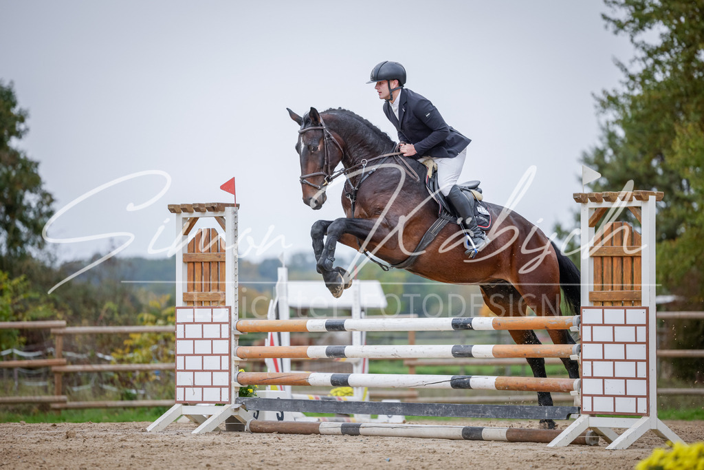 20251012-_3LI3816 | Tierfotografie Pferde, Hunde, Katzen, Haustiere.
Turnierfotografie Reitturniere, Reiten, Springreiten, Dressur in Hanau, dem Main-Kinzig-Kreis und dem Rhein-Main- Gebiet um Frankfurt