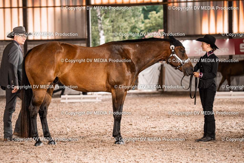 ZH200107 | dv-media-shop - Realisiert mit Pictrs.com