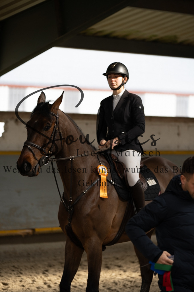 A7V03753 | Pferdefotograf