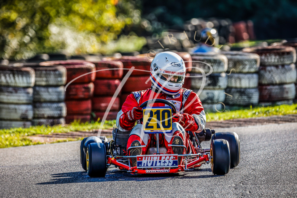 0D36F701-0748-44E5-ACFB-B0CDD5CC4DB4 | traudl_s_fotos