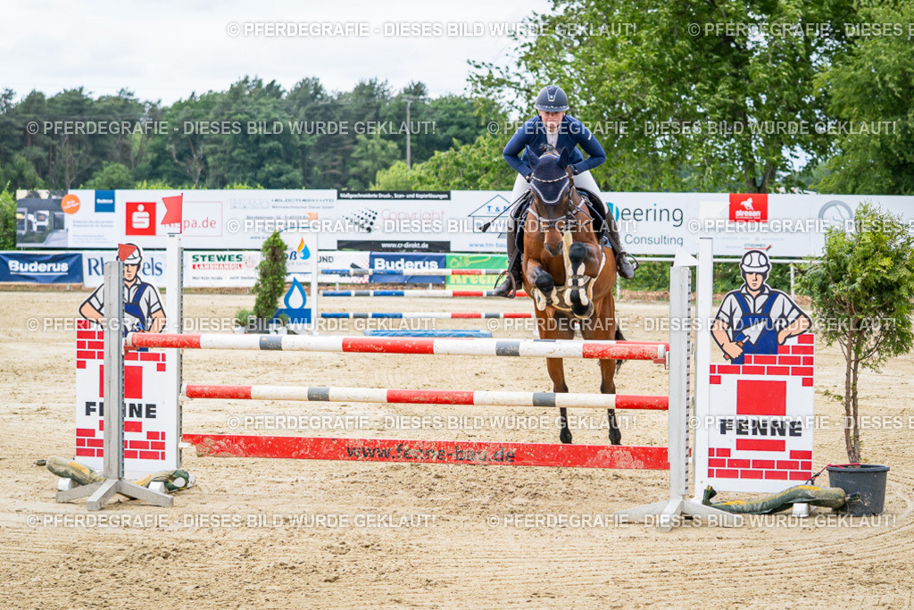 DSC05343 | Pferdegrafie