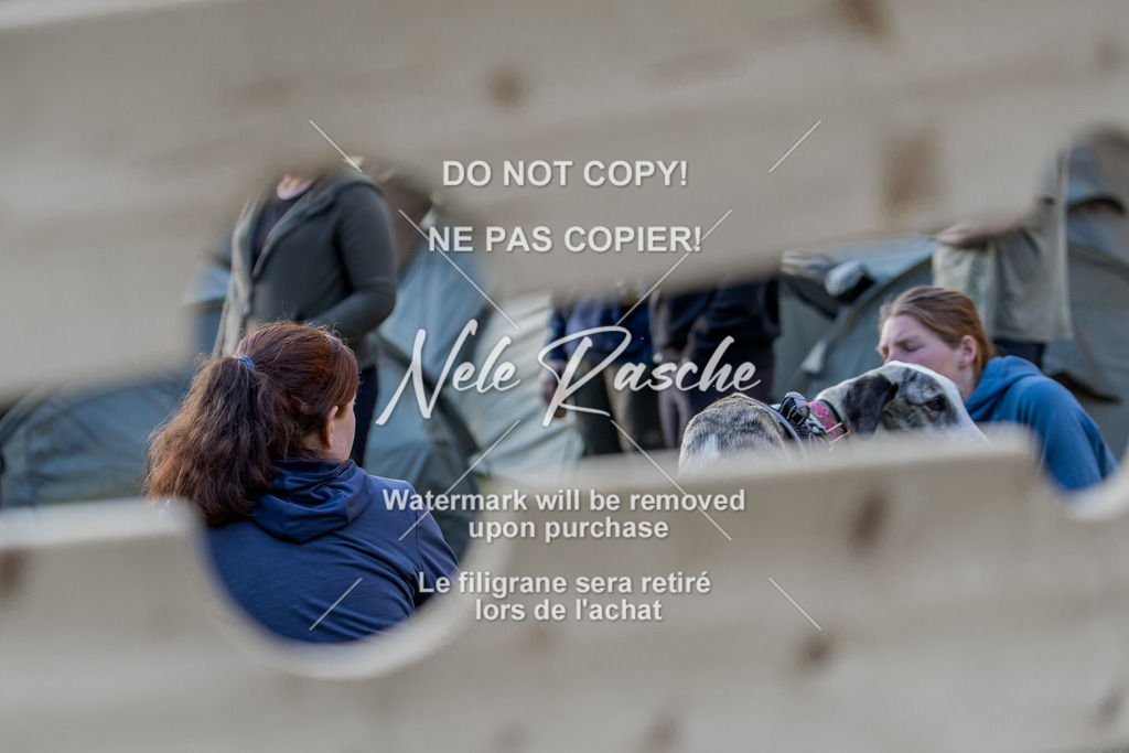 NR__1537 | nelerasche