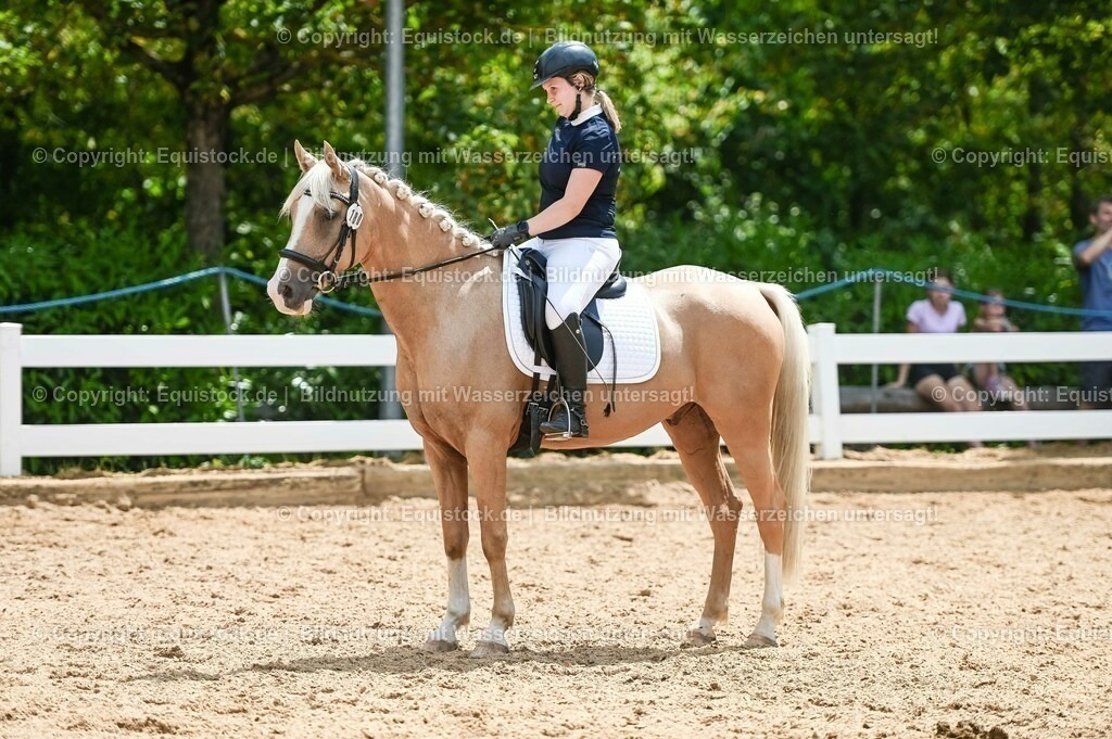 20230715_09_Dressur-WB_0506 | equistock