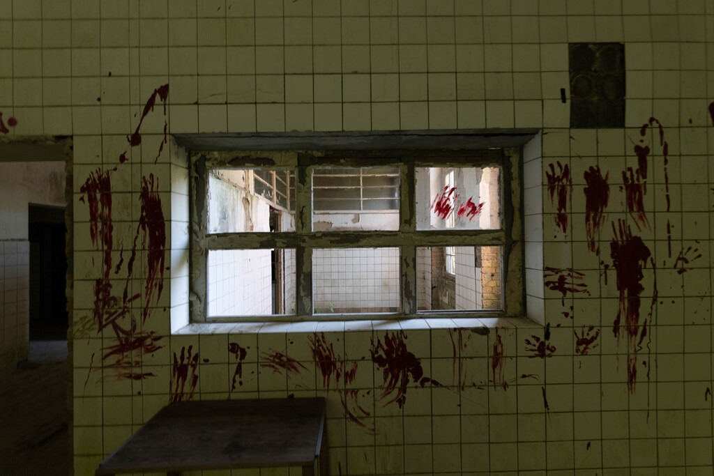 Gabrowsee (8) | hgt-foto