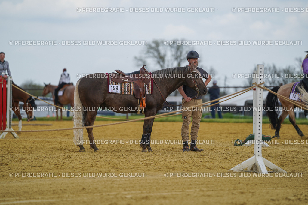 DSC05759 | Pferdegrafie