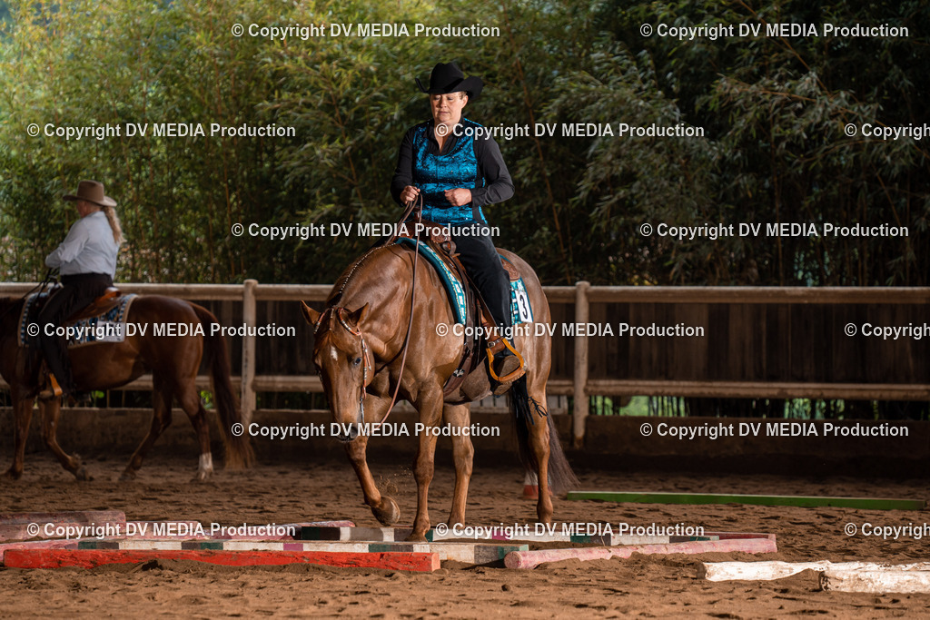 Erbach Tag 3-103 | dv-media-shop - Realisiert mit Pictrs.com