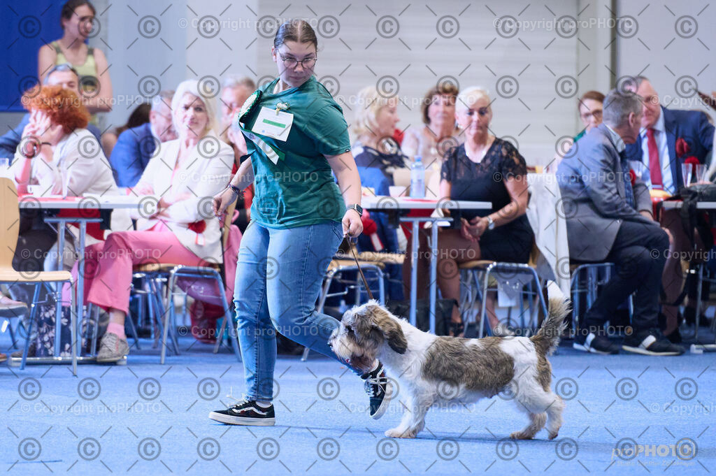 202406_ÖKV-IHA-Tulln24_DSC_3983 | proPHOTO - Realisiert mit Pictrs.com