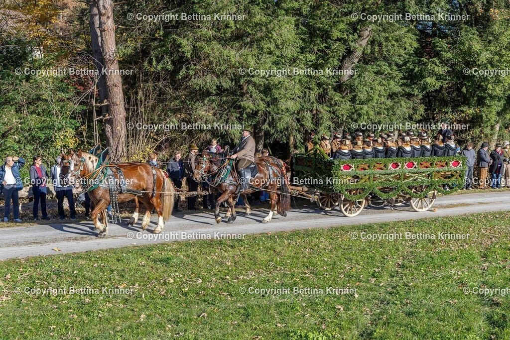 LBT25-696 | foto-bettina-krinner - Realisiert mit Pictrs.com