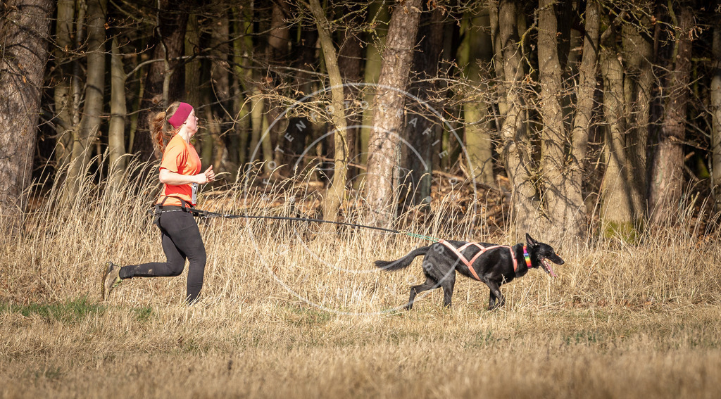 DV3A6000 | Hundefotografie, Tierfotograf, Pfotenfotografie, Fotoshooting Hund, Hunde Portrait, Hundesport, Hundeportraits, Heideshooting, Hunde, Sportfotograf, Hundefotograf, Turnierhundsport, THS,  - Realisiert mit Pictrs.com