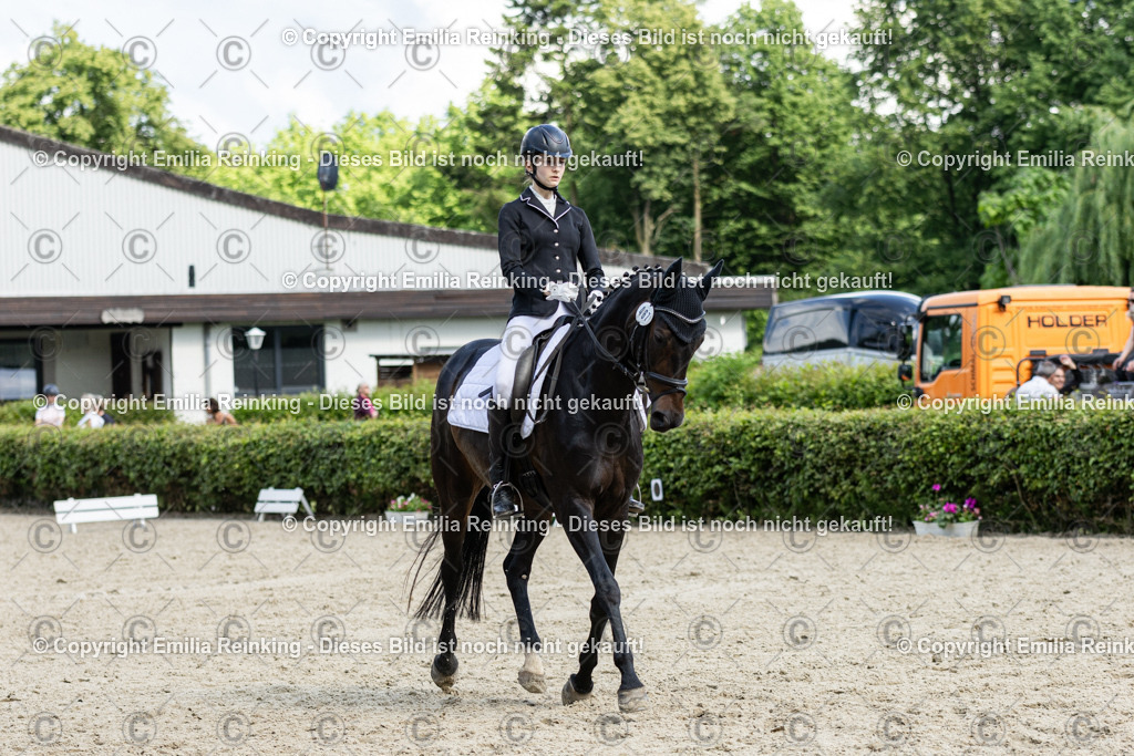 CL5A6024-2 | Emilia Reinking Fotografie - Realisiert mit Pictrs.com