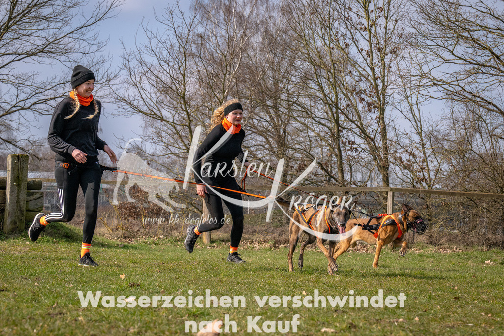 _ZZ90247 | kk-dogfotos