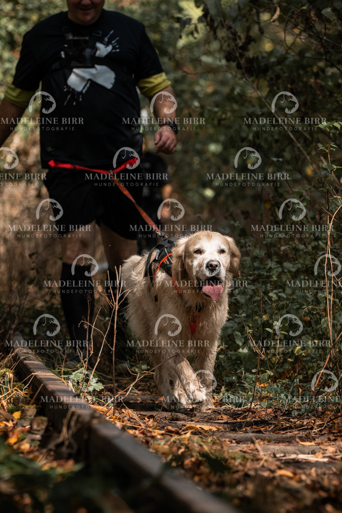 madeleinebirr.fotografie.2026.cc.hunsrueck.12-13Uhr.200 | hundefotografie-birr