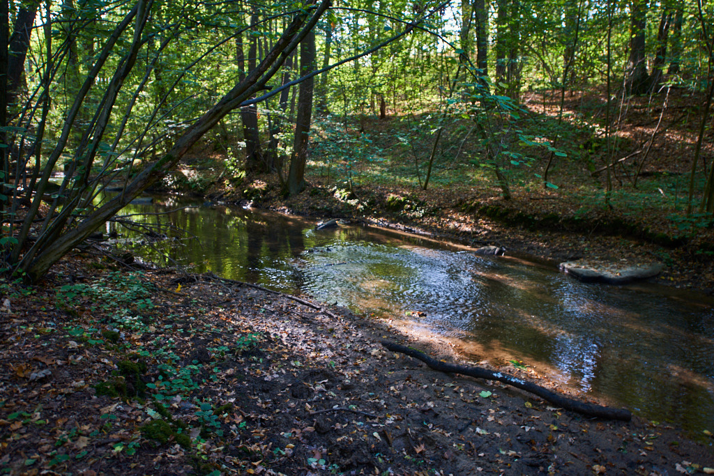 In der Neustädtler Skala 09 | Bedeutsame Landschaften Deutschlands - Realisiert mit Pictrs.com