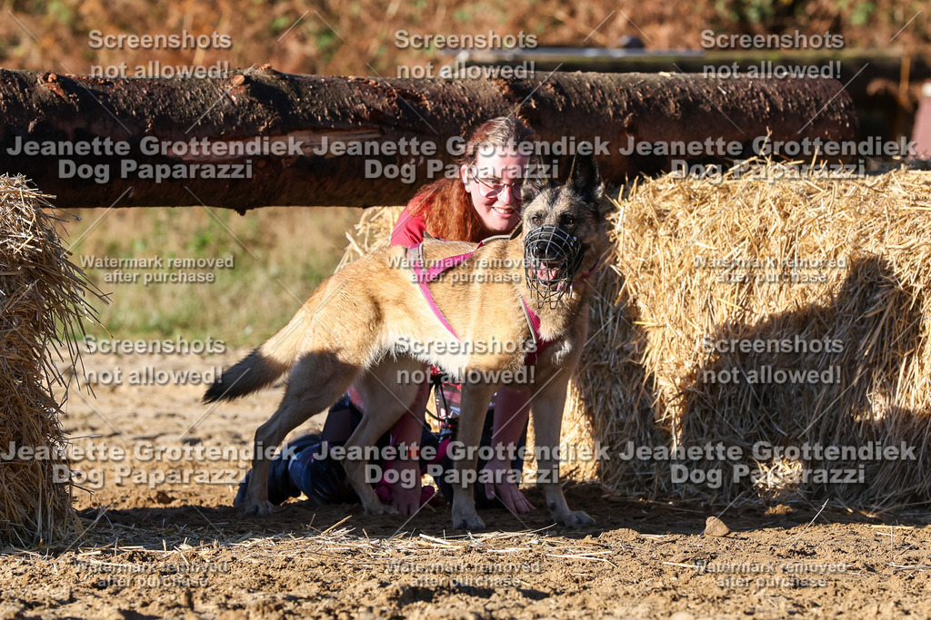 Dog Paparazzi - Strongdog 10-25-1515 | Dog Paparazzi Jeanette Grottendiek Fotografie & Videografie - Realisiert mit Pictrs.com