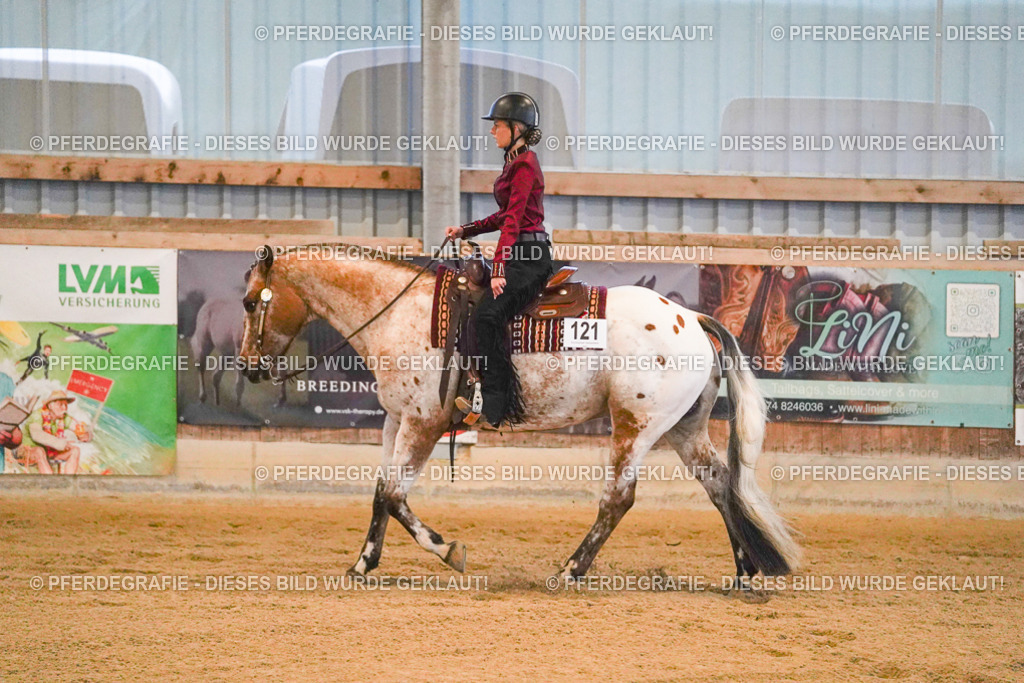 DSC08575 | Pferdegrafie