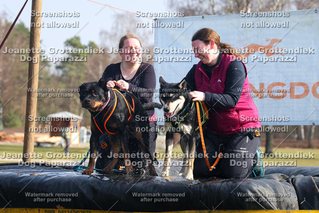 Dog Paparazzi - Strongdog North Mrz26-1677 | Dog Paparazzi Jeanette Grottendiek Fotografie & Videografie - Realisiert mit Pictrs.com