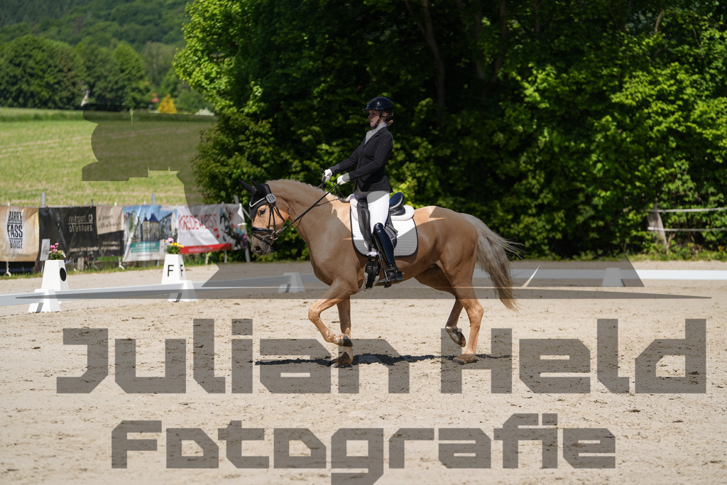 DSC00226 | Julian Held Fotografie - Realisiert mit Pictrs.com