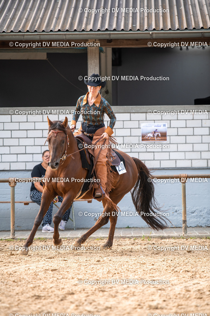 EWP_5683 | dv-media-shop - Realisiert mit Pictrs.com