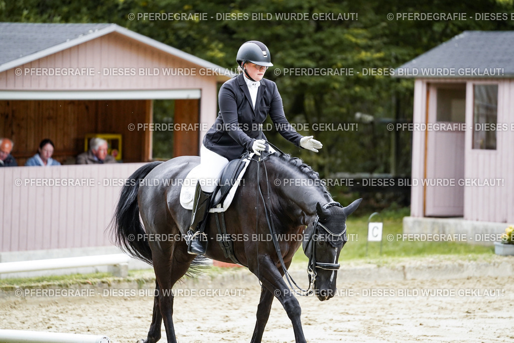 DSC09475 | Pferdegrafie