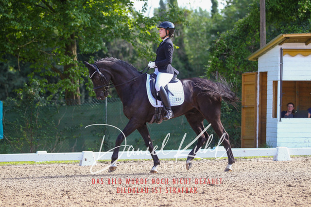 DKP42970 | Turnierfotos kaufen im Webshop von Daniel Kuhl Photography – entdecke professionelle Reitsportfotos aus Turnieren & Events. Hochwertige Turnierbilder online bestellen & sichern. Jetzt Fotos von Reitsportturnieren kaufen!