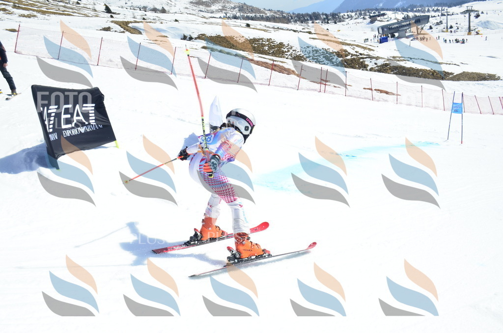 _ELE1065 | holidayphoto