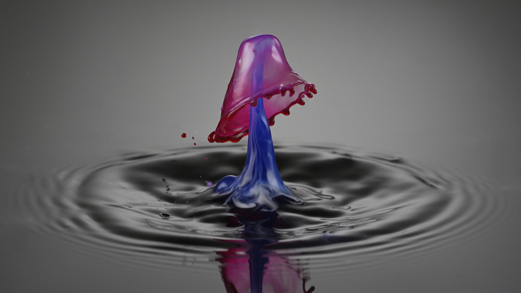 Blau und Rot in Harmonie | Dieses faszinierende Foto zeigt eine farbenprächtige Wassertropfen-Kollision in perfektem Moment. Ein blauer Tropfen steigt aus der Wasseroberfläche empor, während ein rosafarbener Tropfen darauf trifft und eine elegante, schirmartige Form bildet. Die feinen Details der Spritzkrone und die sanften Wellen auf der Wasseroberfläche verleihen dem Bild eine künstlerische und fast surreal wirkende Ästhetik. Diese Aufnahme ist ein beeindruckendes Beispiel für Highspeed-Fotografie und die Schönheit flüchtiger Naturmomente.Eine wunderschöne Aufnahme, die gern in orthopädischen Praxen oder beim Physiotherapeuten die Wände ziert. Beruhigend und faszinierend.