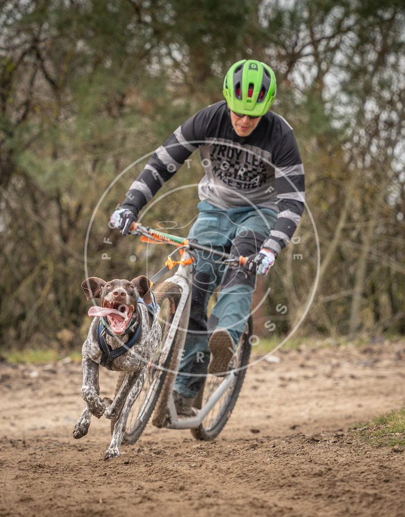 Pfotenfotografie_DV3A9463 | Hundefotografie, Tierfotograf, Pfotenfotografie, Fotoshooting Hund, Hunde Portrait, Hundesport, Hundeportraits, Heideshooting, Hunde, Sportfotograf, Hundefotograf, Turnierhundsport, THS,  - Realisiert mit Pictrs.com