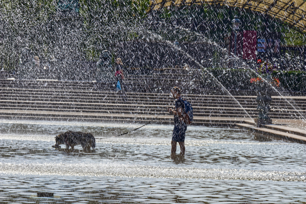 IMG_2869 | ansichtssache