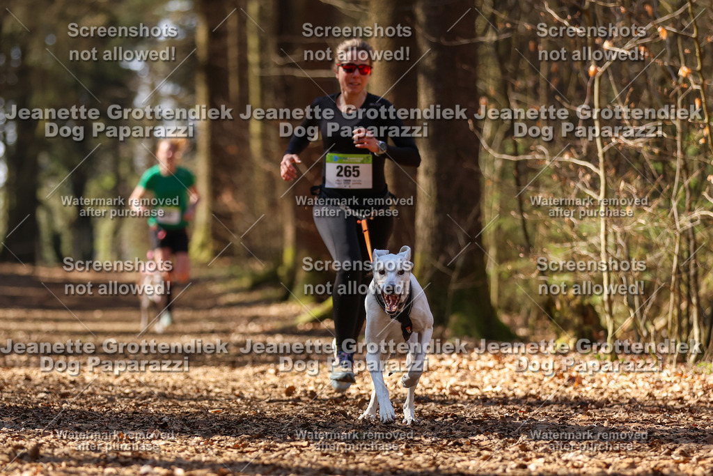 Dog Paparazzi - VCC26-1116 | Dog Paparazzi Jeanette Grottendiek Fotografie & Videografie - Realisiert mit Pictrs.com