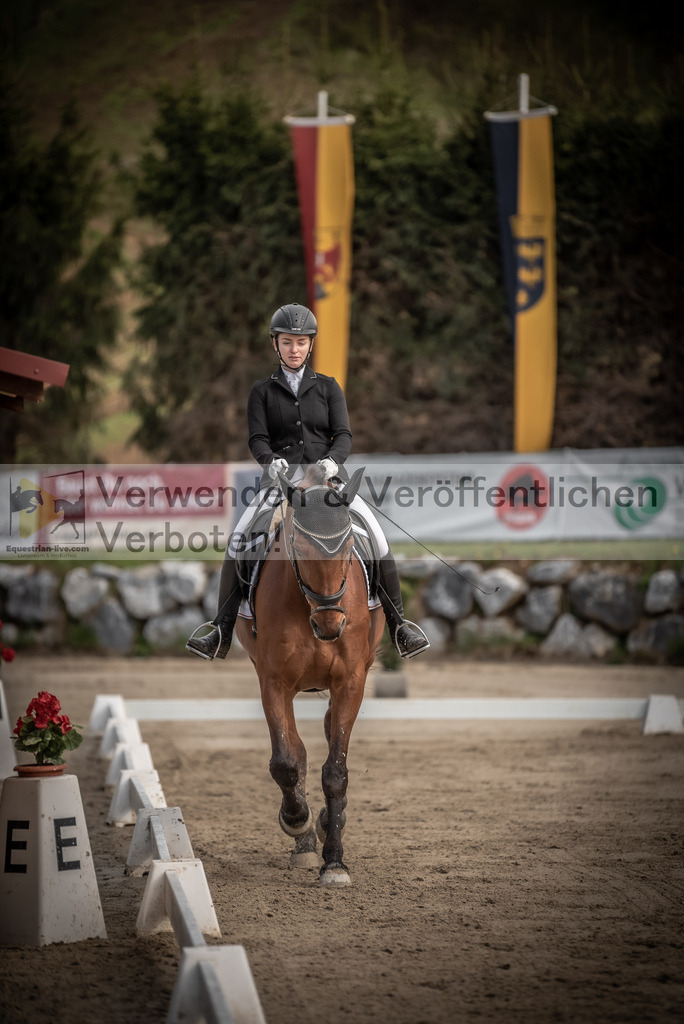 DSC_8498 | equestrian-live-com