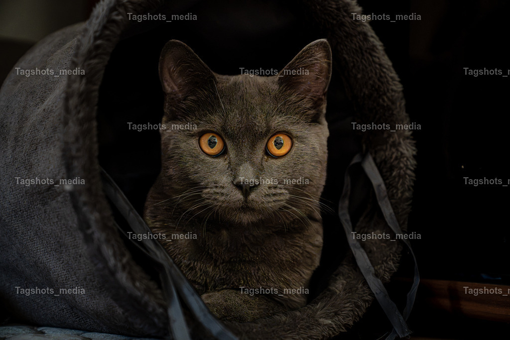 A7507726 | tagshotsmedia - Realisiert mit Pictrs.com