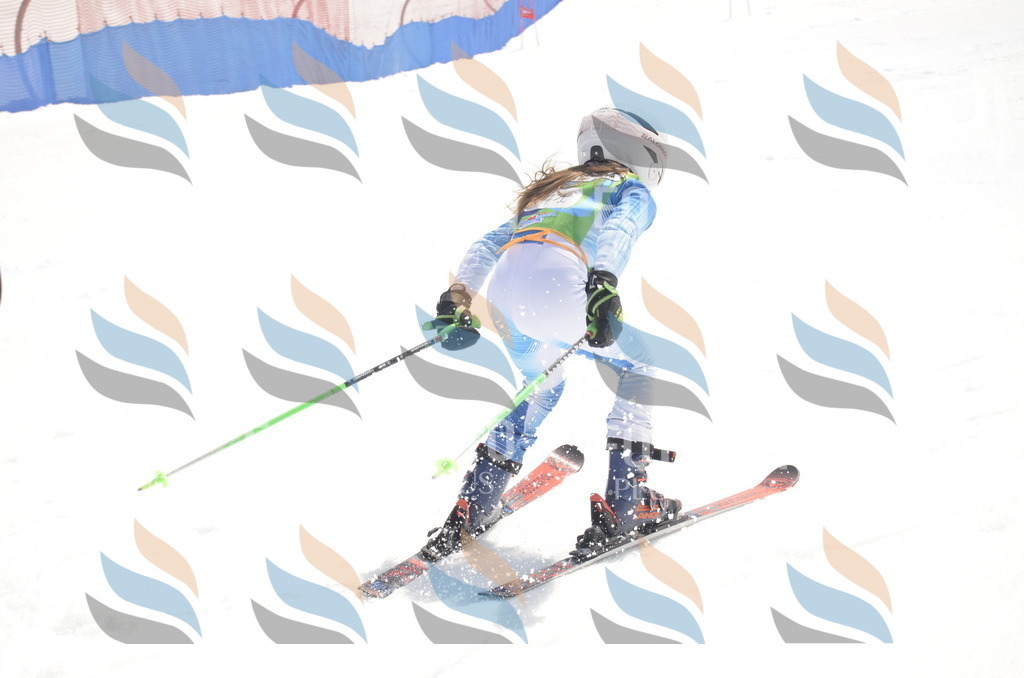 _ELE9117 | holidayphoto