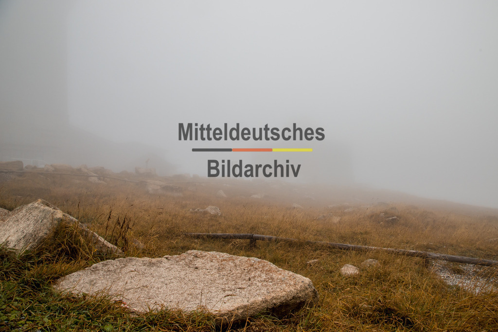 innerdeutsche Grenze Grünes Band Brocken Ilsenburg Eckerntal-9785 | Die innerdeutsche deutsch-deutsche Grenze, das Grüne Band - Realisiert mit Pictrs.com