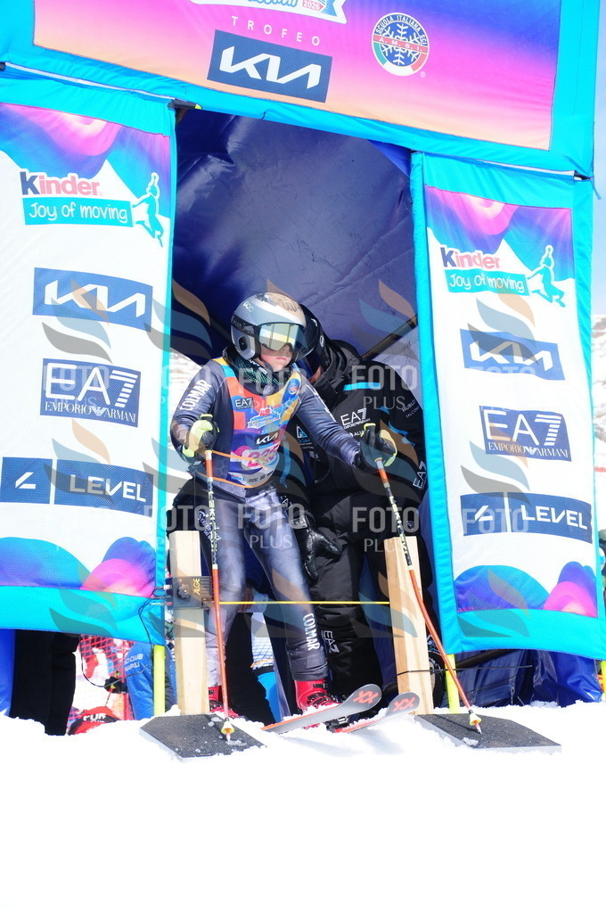 DSC_6003 | holidayphoto