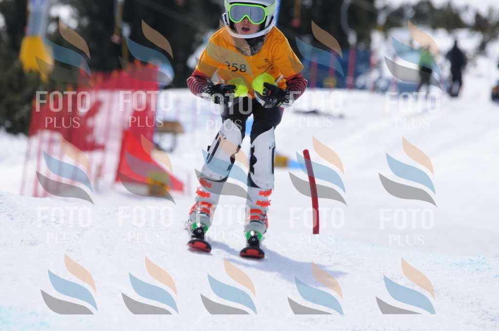 C9398 | holidayphoto