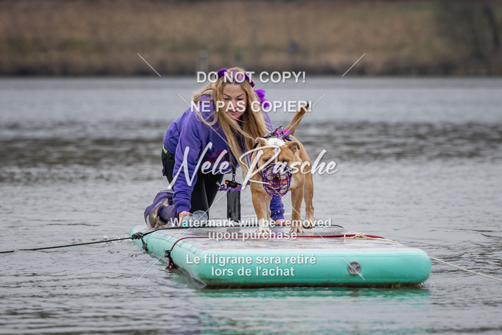 nelerasche_Hulsbeek_Sa1430-1515_02 | nelerasche