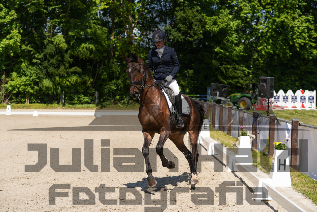 DSC00343 | Julian Held Fotografie - Realisiert mit Pictrs.com