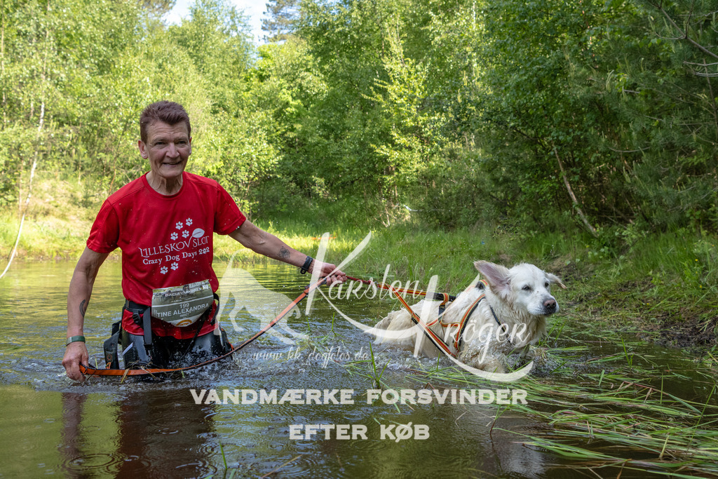 1001DKK994362 | kk-dogfotos