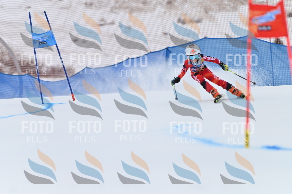 BGV_2025 | holidayphoto