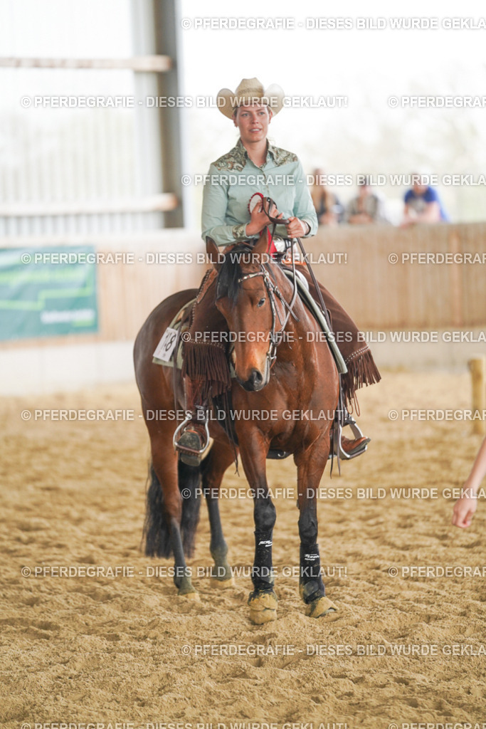 DSC06491 | Pferdegrafie