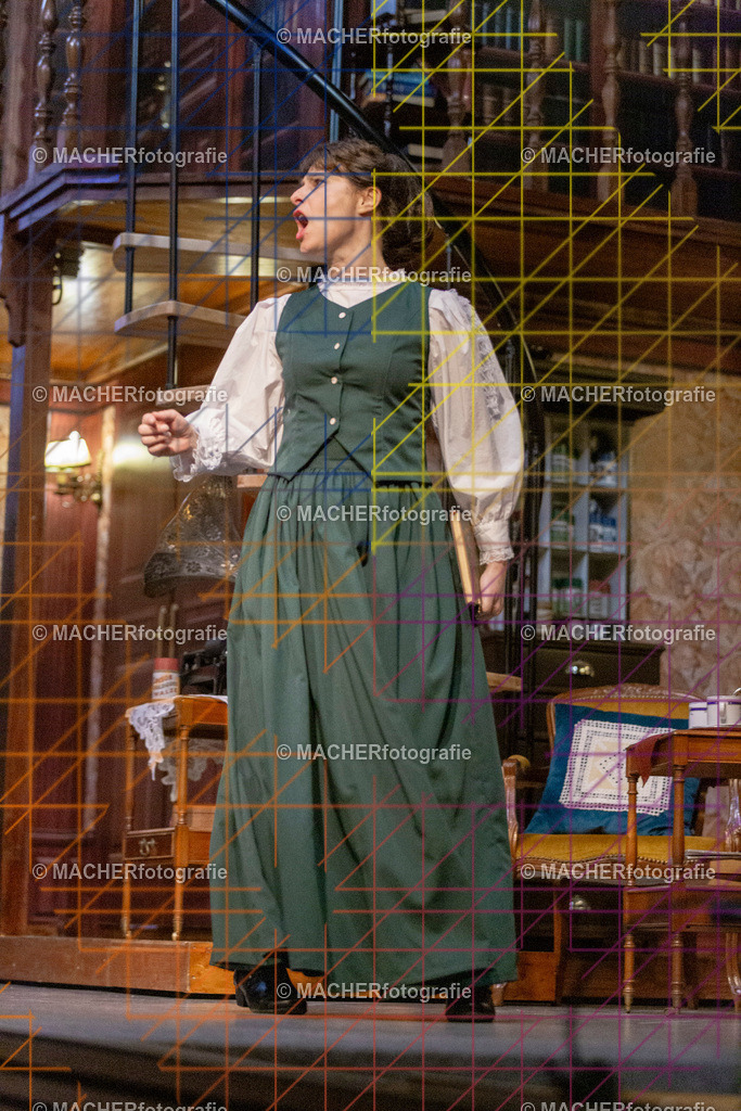 194_MFL-2025 | Portraitbilder von Regisseur; Darsteller; Techniker; Maske; Kostüme; Chor; Musiker; Bilderserie der Generalprobe und der Premierenvorstellung, Szenenbilder; Ausdrucksstudien; Bühnenüberblick; Bühnenkulissen; Pressefotos inkl. Redaktionsfoto Darstellergruppe.