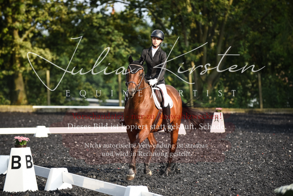 DSC_3492 | Pferde- und Turnierfotografie in Westsachsen. Pferdeportraits, Auftragszeichnungen und intuitive Kunst.