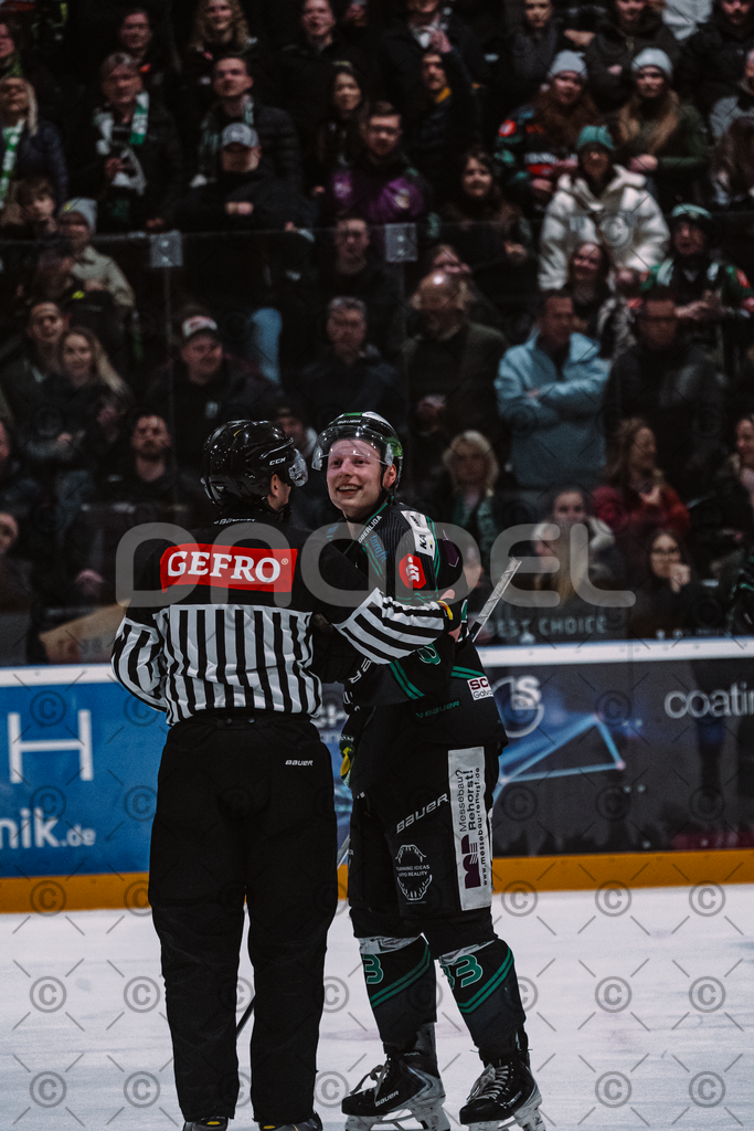 Alligators_vs_Fuessen_06_03_2026_PP-17 | Höchstadt Alligators Fotogalerie: Eishockey-Action aus Franken. Professionelle Spielfotos, Portraits & Stadionbilder zum Download. Jetzt entdecken! - Realisiert mit Pictrs.com