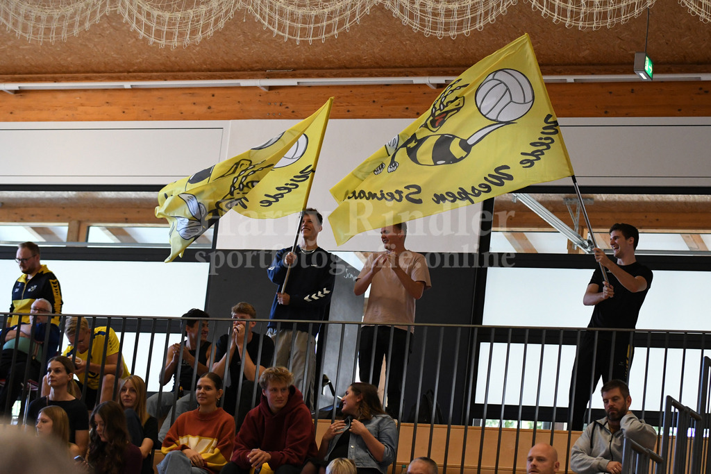 TSV Deggendorf Damen : Wilde Wespen Steinach | TSV Deggendorf Damen : Wilde Wespen Steinach - Realisiert mit Pictrs.com