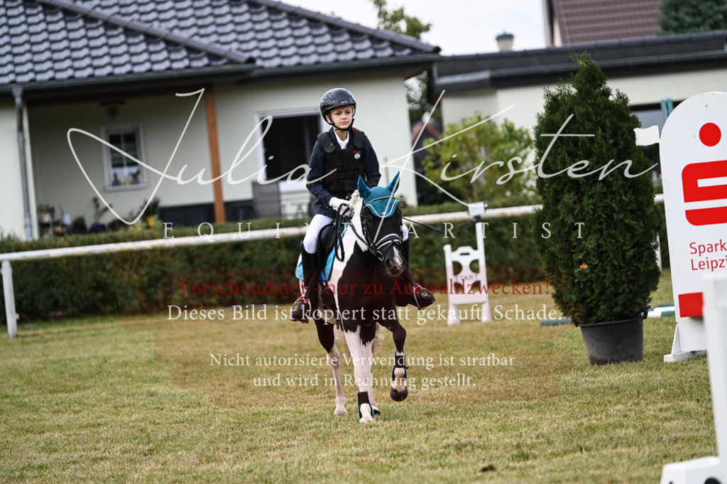 DSC_5460 | Pferde- und Turnierfotografie in Westsachsen. Pferdeportraits, Auftragszeichnungen und intuitive Kunst.