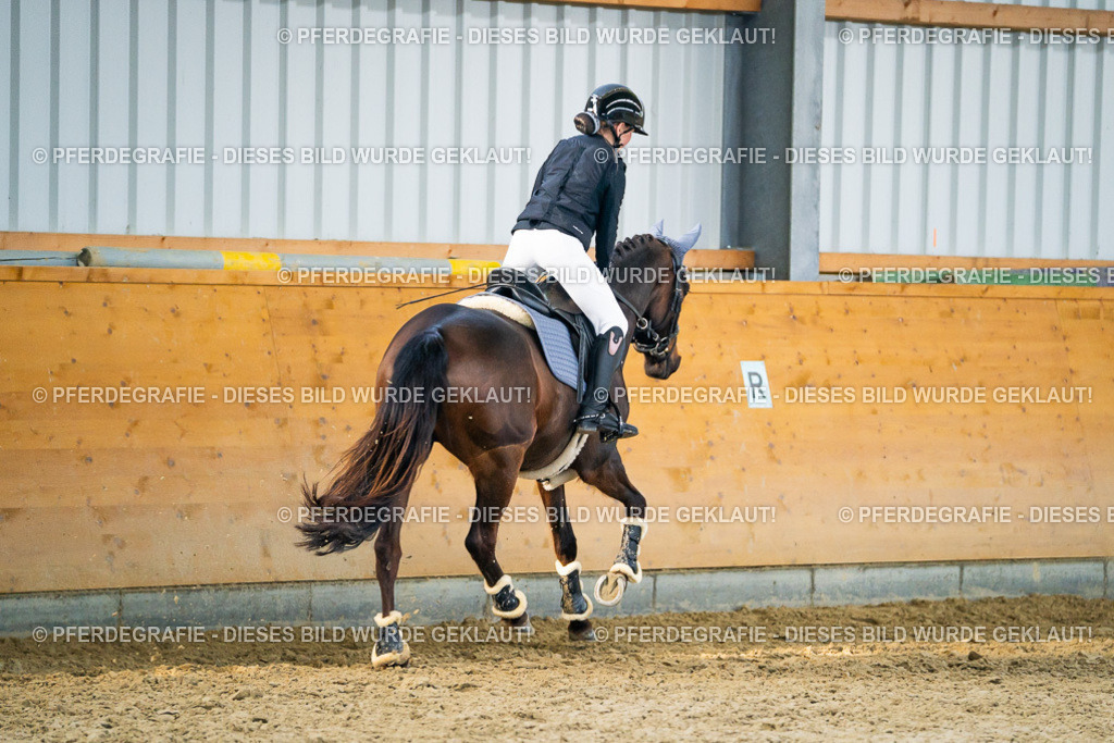 DSC00898 | Pferdegrafie