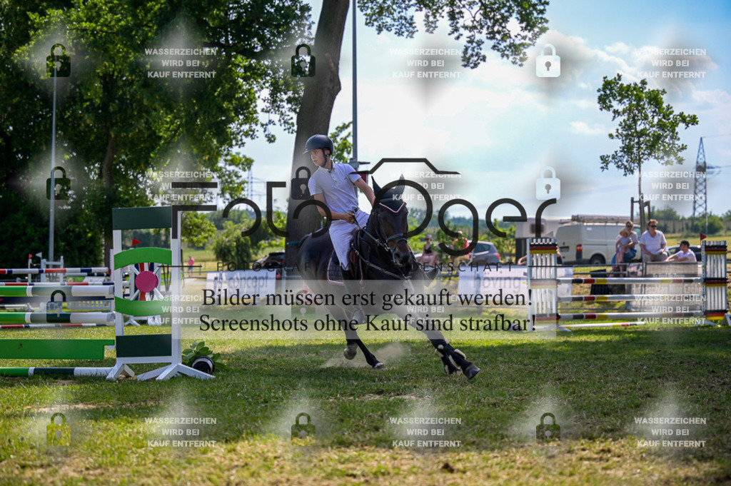20230611-_DOS4273-2 | Entdecke hochwertige Reitturnierfotos von Foto Oger. Professionell, emotional und authentisch – jetzt Lieblingsmomente im Shop bestellen.Deutschlandweite Turnierfotografie. - Realisiert mit Pictrs.com